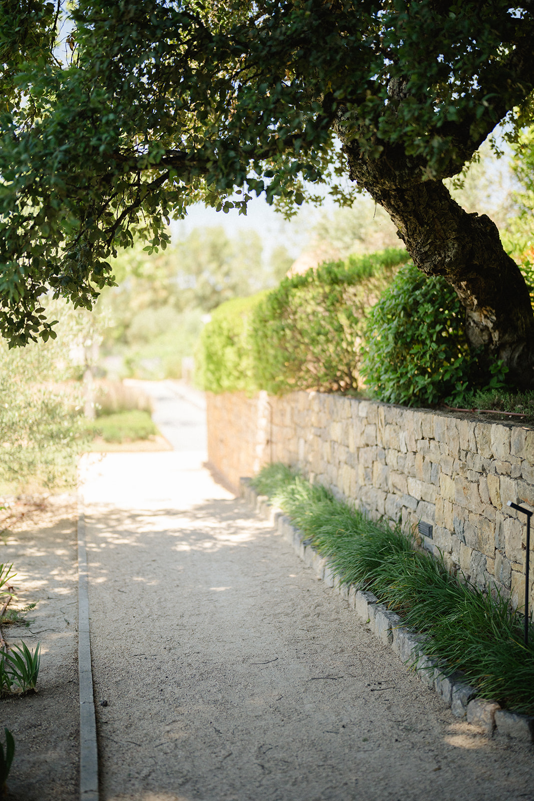 Enchanting Provence wedding venue in South of France